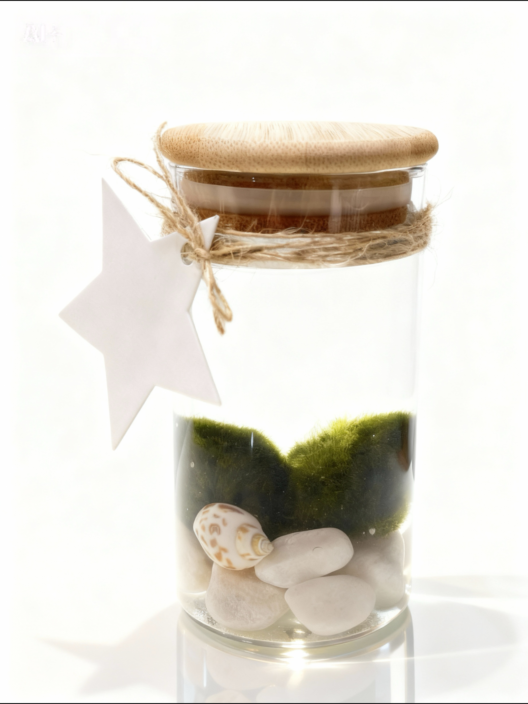 Bola de musgo en tarro decorativo pequeño - Imagen 4