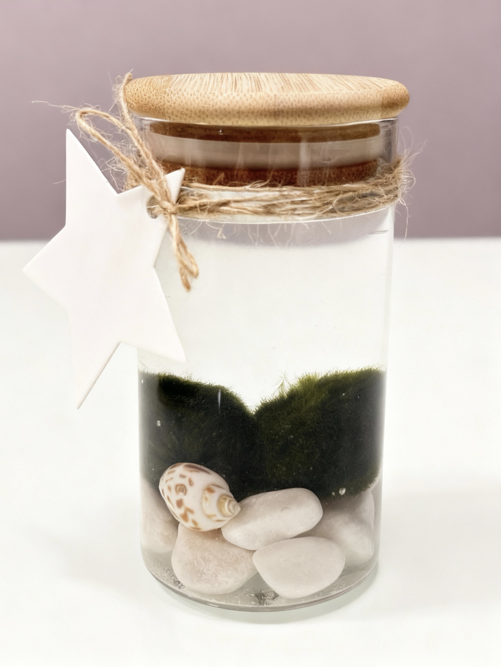 Bola de musgo en tarro decorativo pequeño